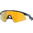 Oakley Resistor