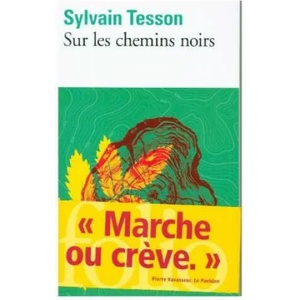 Sur les chemins noirs | Sylvain Tesson (ISBN: 9782072823428)