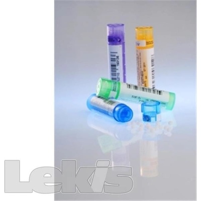 Hepar Sulfuris Calcareum gra.1 x 4 g 15CH