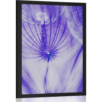 Plakát pampeliška v fialovém provedení - 40x60 no frame