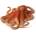 Animal Planet Mojo ANIMAL PLANET, Фигурка за колекциониране, Октопод