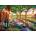 Trefl - Puzzle Premium Plus Tea Time: Italian Vineyard - 1 000 piese