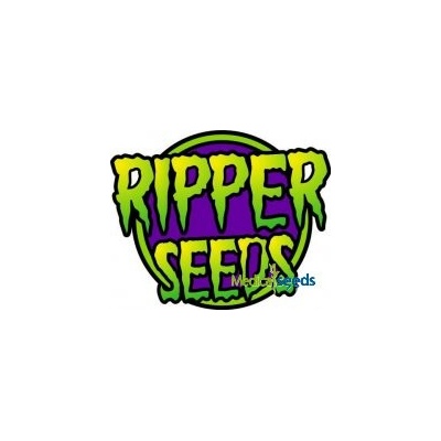 Ripper Seeds Break Pad Breath semena neobsahují THC 1 ks