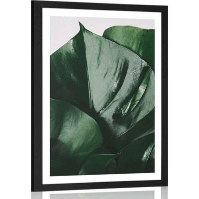 Plakát s paspartou dopis monstery - 20x30 silver