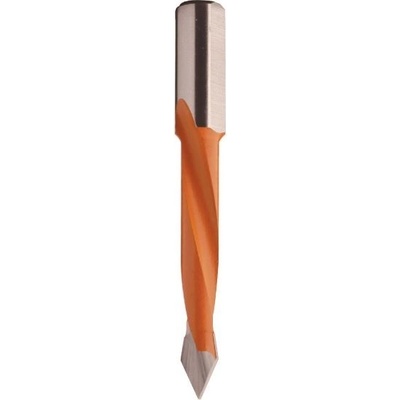 IGM C36610011