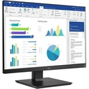 LG 25BL55WY