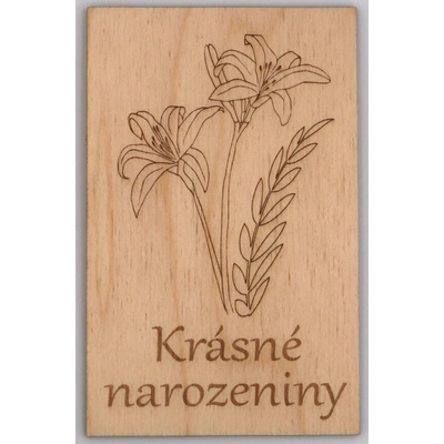 Dřevěné přání - Krásné narozeniny