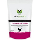 VetriScience UT Strenght doplněk na podporu močových cest pro kočky 90 g