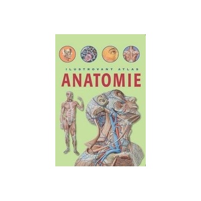 Anatomie Ilustrovaný atlas