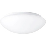 PREZENT Aspen 1501