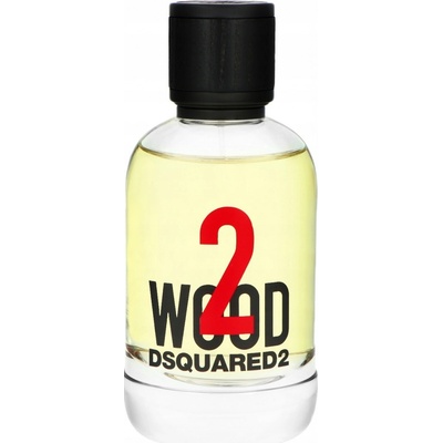 Dsquared2 2 Wood toaletná voda unisex 100 ml tester