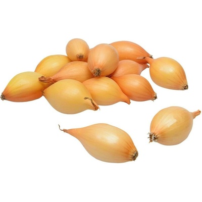 Cibule sazečka ozimá Augusta 100 g