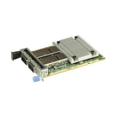 Supermicro AOC-S100G-M2C
