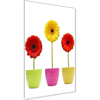 Vertikálny foto obraz sklenený Farebné gerbery 50x100 cm