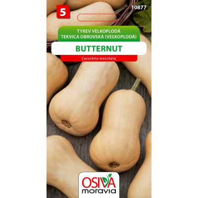 Osiva Moravia Tykev máslová BUTTERNUT