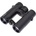 Braun Compagno 10x34 WP