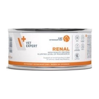 VetExpert VD 4T Renal Cat 100 g