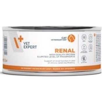 VetExpert VD 4T Renal Cat 100 g