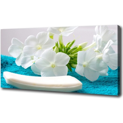 Foto obraz na plátne do obývačky Biele kvety spa 100x50 cm