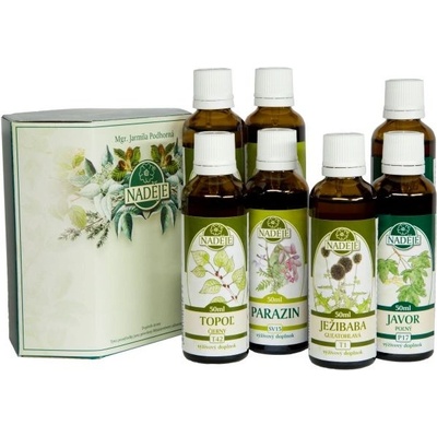 Kúra protiparazitálna borelióza B3 300 ml