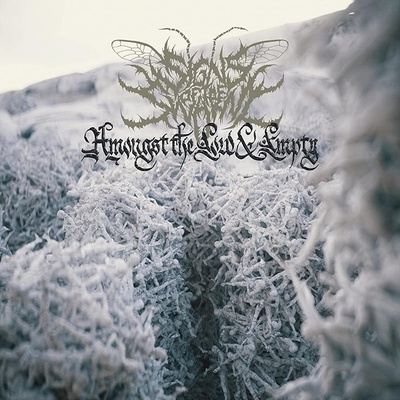 Signs of the Swarm - Amongst the Low & Empty LP