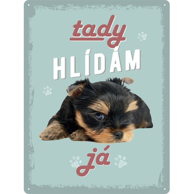 Postershop Plechová cedule: Tady hlídám já - 30x40 cm