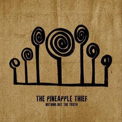 Pineapple Thief - Nothing But The Truth - Live 2 LP