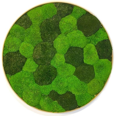 Machový obraz - Kruh - Kopp Veľkosť rámu: 60cm