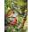 Cobble Hill - Puzzle Summer Birdhouse - 500 piese