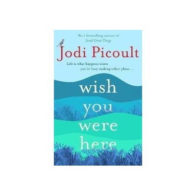 Wish You Were Here - Jodi Picoult