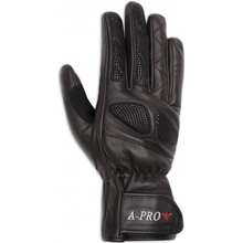 A-Pro BRONX