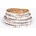 Solution LED 07117