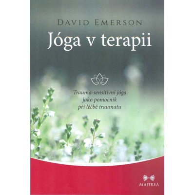 Jóga v terapii - Trauma-sensitivní jóga jako pomocník při léčbě traumatu - David Emerson