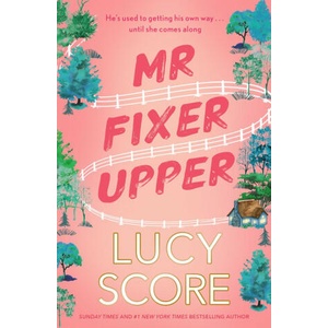 Mr Fixer Upper (ISBN: 9781399735513)