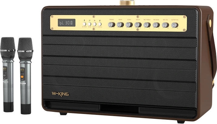 Microphone Sans Fil W-KING M6 - Pour Enregistrement Vocal Mobile Et Contenu Créatif