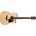 Ibanez AW417CE-OPS
