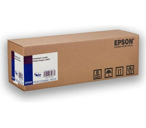 Epson S042078