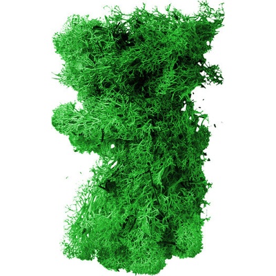 Mech preparovaný Rosteto 20 g světle zelená