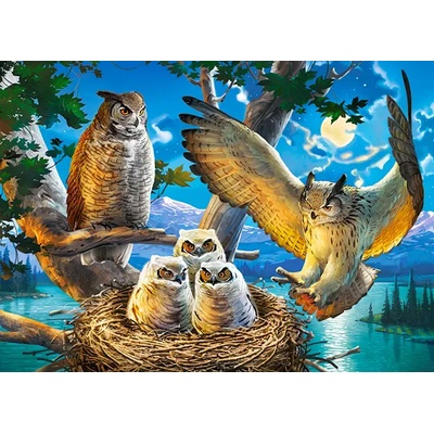 Castorland - Puzzle Owl Family - 180 piese