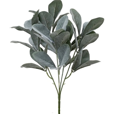 ZELEŇ LISTY OVÁLNE SIVO-ZELENÉ 36CM