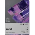 Winsor & Newton Пад Earth tones А4 160г 24л