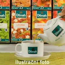 Dilmah zelený čaj Sencha 20 x 1,5 g