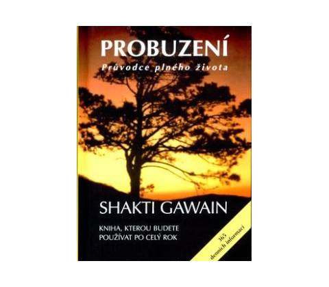 Probuzení