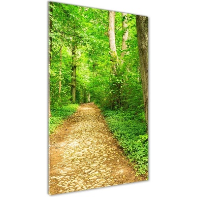 Vertikálny foto obraz sklenený Chodník v lese 50x100 cm