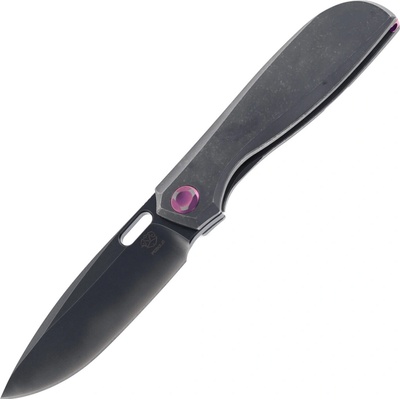 Poikilo Gecko S2 (DSW)