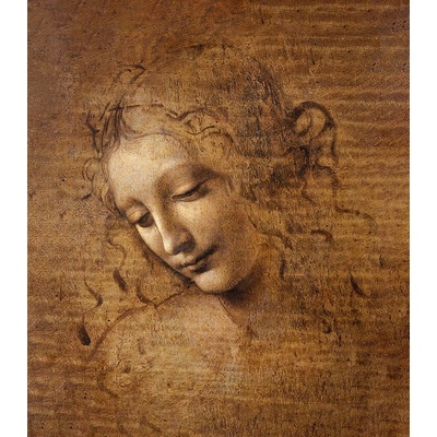 Hlava ženy 30x40cm - Leonardo da Vinci