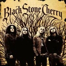 BLACK STONE CHERRY: BLACK STONE CHERRY CD