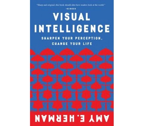 Visual Intelligence