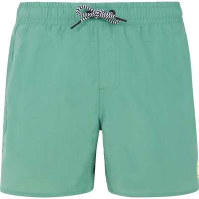 Protest Детски бански слипове Protest Kid's PRTCulture Beachshort Boardshorts - Frosty Green - размер 176 (EU) (750-1576-0417)