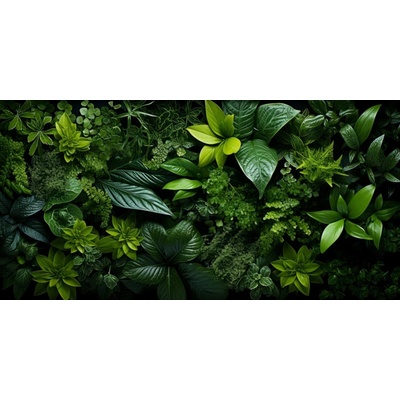 Obraz na plátne - Tropical leaves